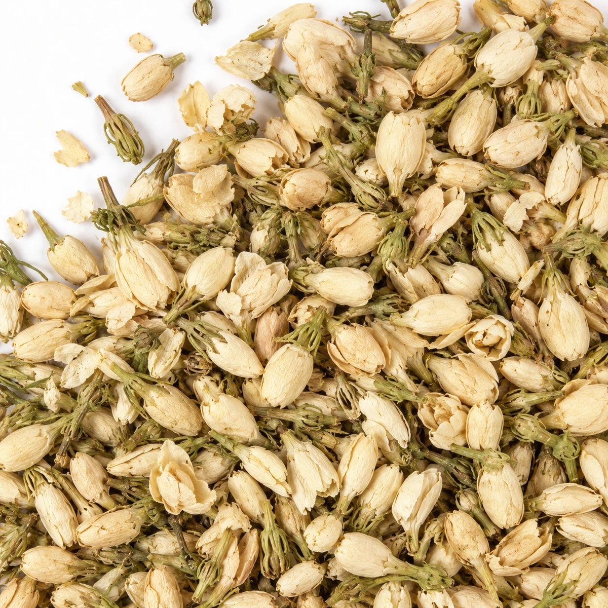 Dried jasmine flowers on a white background