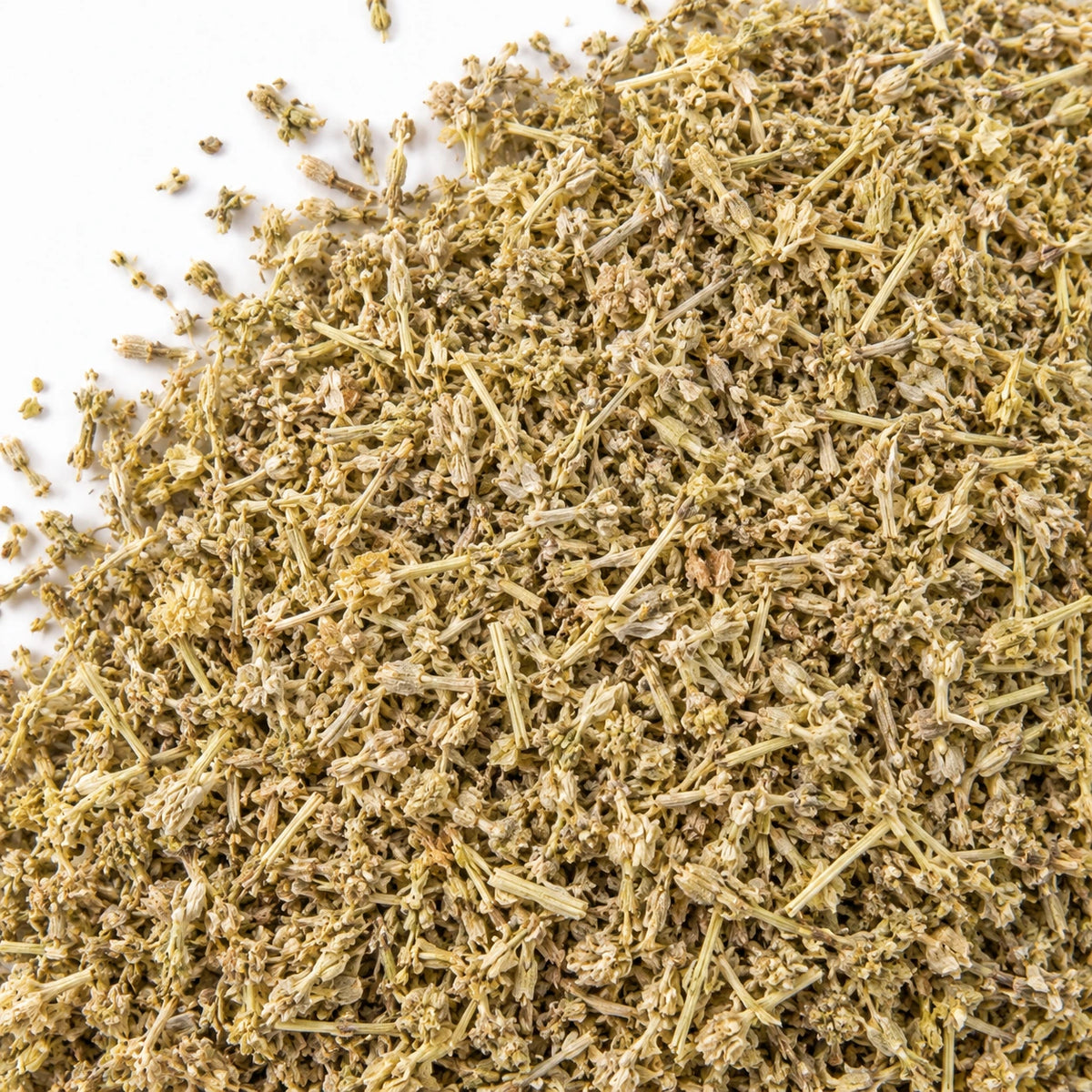 Dried lavender flowers on a white background
