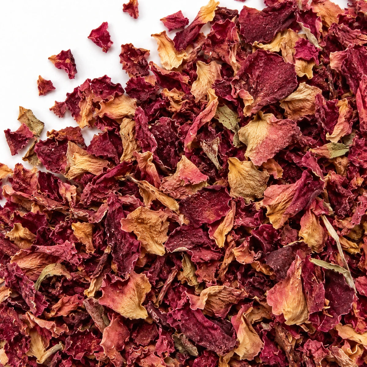 Dried rose petals on a white background