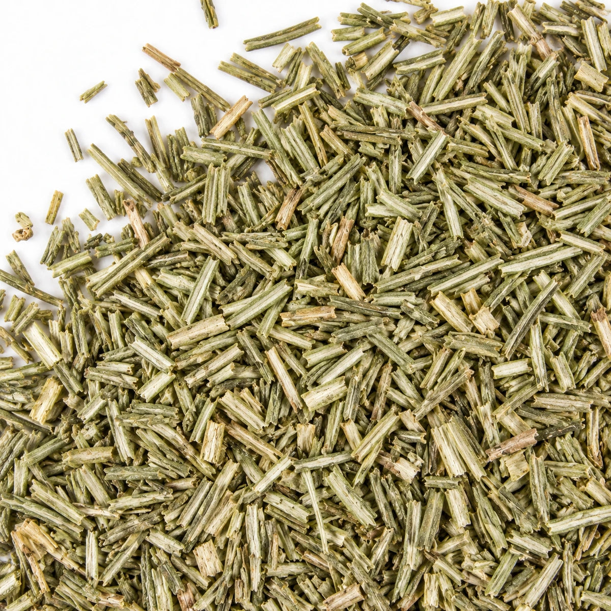 Dried rosemary leaves on a white background