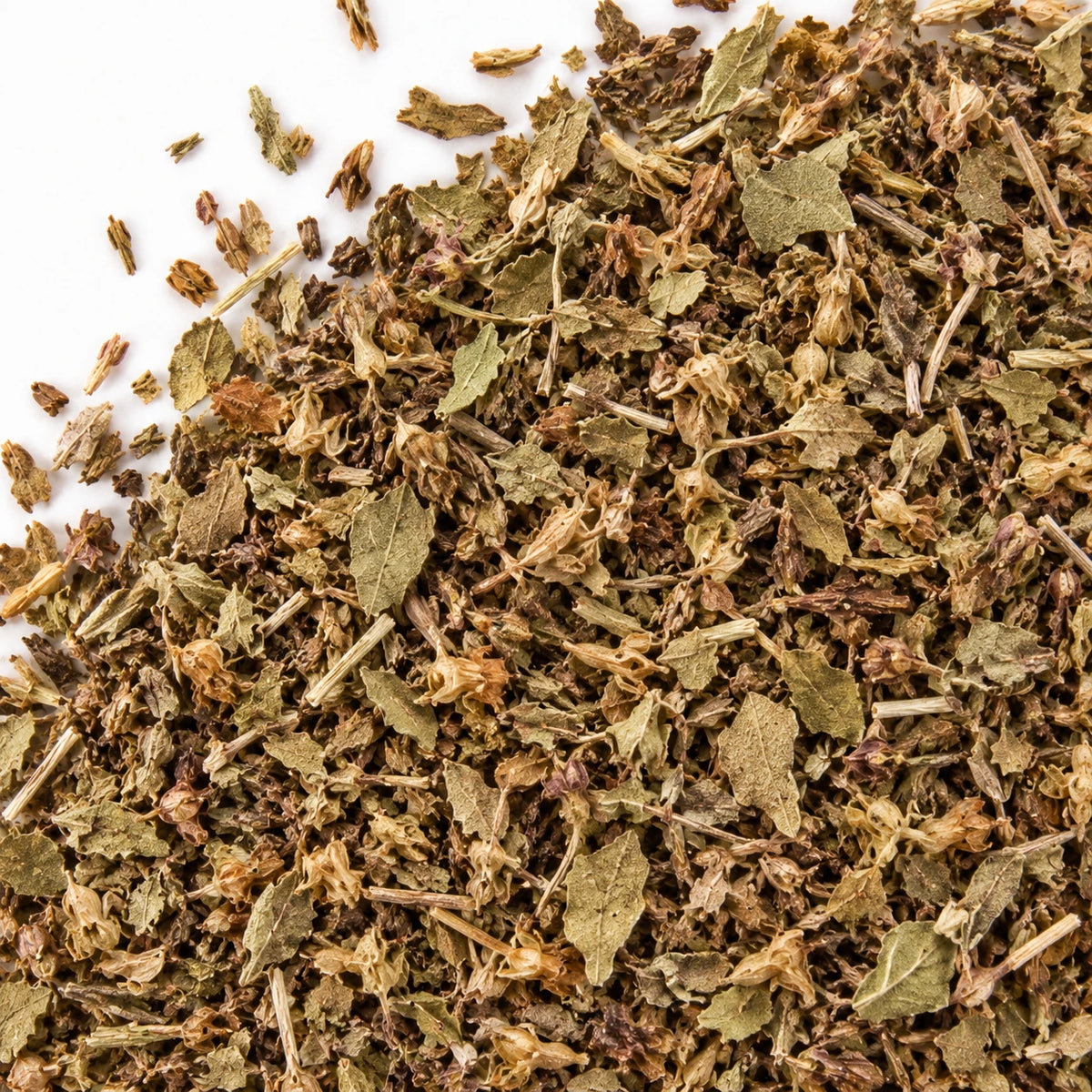 Dried tulsi leaves on a white background